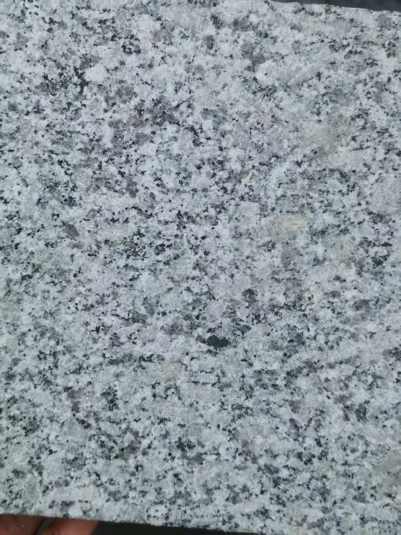 铜仁 芙蓉白火烧面